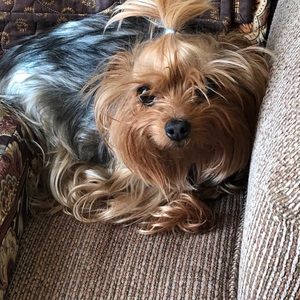 Meet your Posher, Patricia